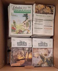 collezione rivista vita in campagna 