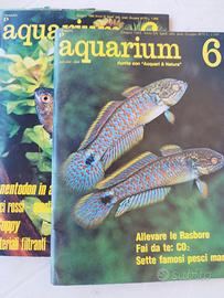 40 Fascicoli Aquarium