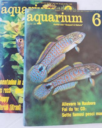 40 Fascicoli Aquarium