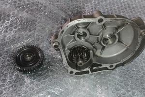 ingranaggi primari malossi per piaggio 