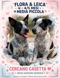 FLORA E LEICA