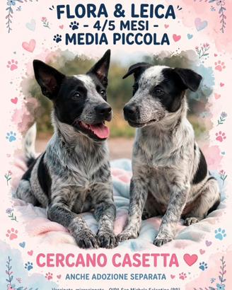 FLORA E LEICA