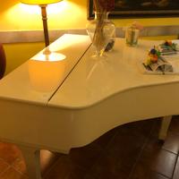Mezza coda bianco