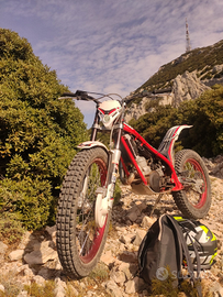 Trial Gas Gas TXT 280 del 2009 targato