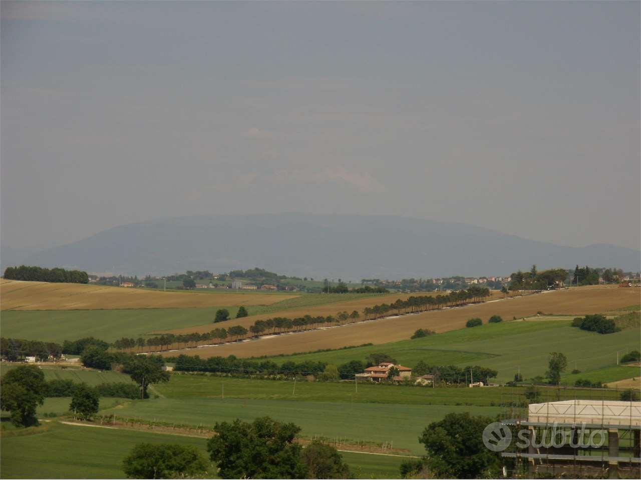Terreno Edificabile a Marsciano - Vista 5