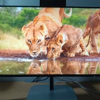 Monitor conferenze HP Series 5 Pro 23,8" FHD 524pm