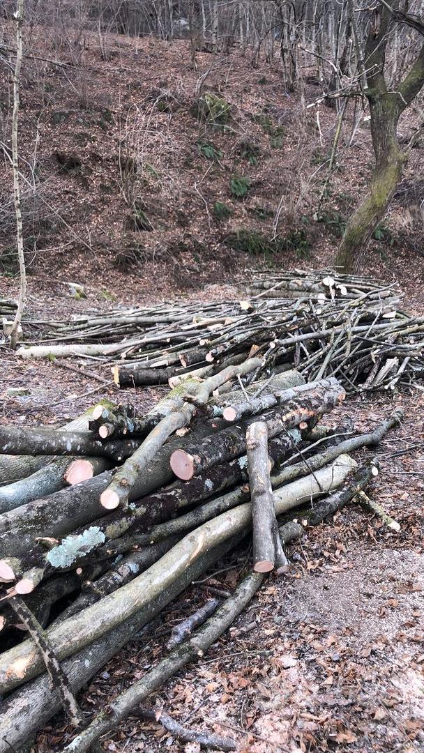 Taglia legna - Attrezzature di lavoro In vendita a Lecco