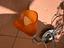 Immagine 2