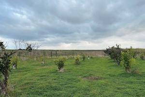 Terreno mq 12000