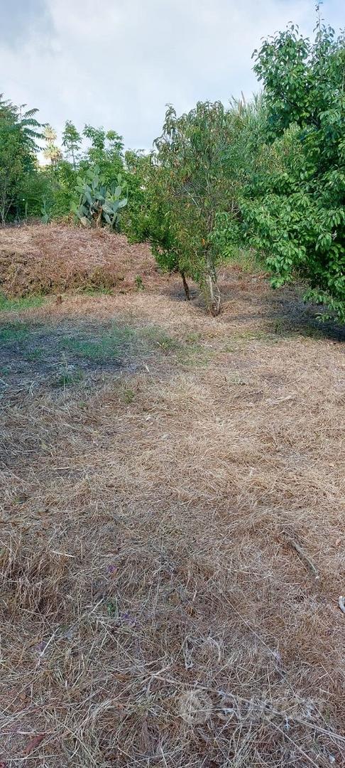 Terreno Ischia - Via Acquedotto - Vista 4