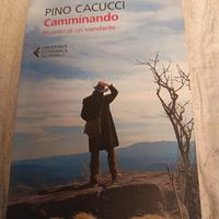 Camminando Incontri di un viandante