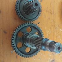 Rapporti Piaggio