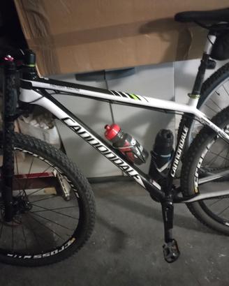 bici cannondale 