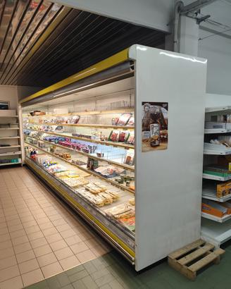 Frigo Multiservice E Vasca per Latticini