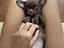 Immagine 3
