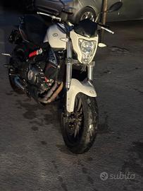 Benelli 302