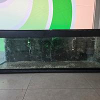acquario ( solo vasca )