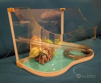 Acquario tartarughe