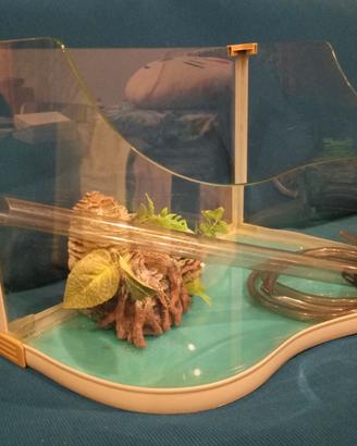 Acquario tartarughe