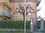 Immagine 8