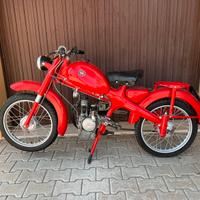 Motom 48cc