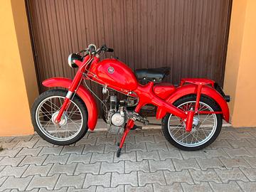 Motom 48cc