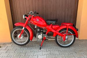 Motom 48cc