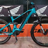 MTB enduro mustache remedi