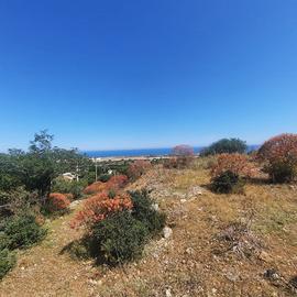 TERRENO CINISI