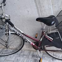 Bicicletta Passeggio