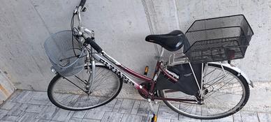Bicicletta Passeggio