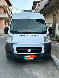 Fiat ducato cella frigo