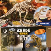 Scheletri di dinosauro