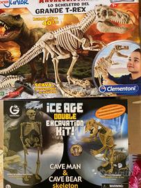 Scheletri di dinosauro