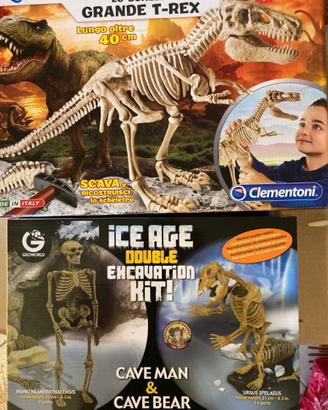 Scheletri di dinosauro
