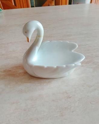 cigno