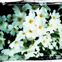 Coppia custodi aziendali