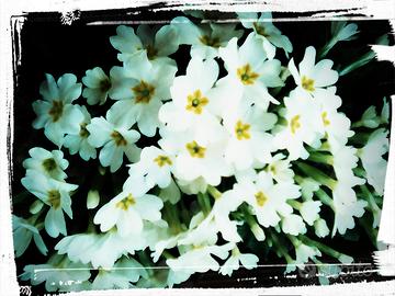 Coppia custodi aziendali