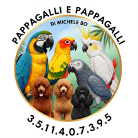 Pappagalli allevati a mano