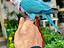 Immagine 4