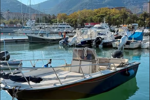 Boston Whaler 20' Outrage - Motore Verado 200CV
