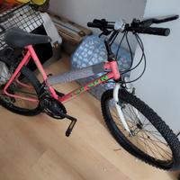 Biciclette come da foto.Tutte e 2 70,00.Ritiro a m