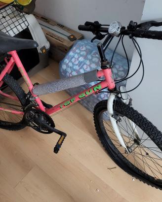 Biciclette come da foto.Tutte e 2 70,00.Ritiro a m