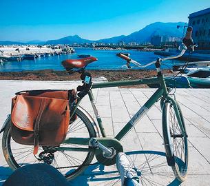 Bicicletta Canellini