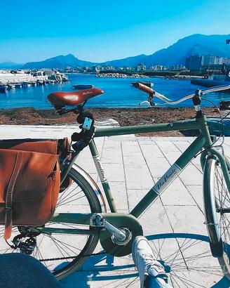 Bicicletta Canellini