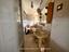 Immagine 12