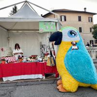 Mascotte pappagallo mascot costume gonfiabile