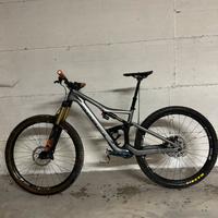 Orbea occam
