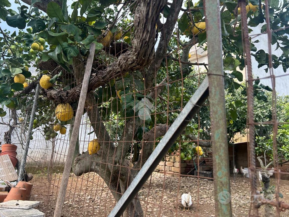 TER. RESIDENZIALE A MAZARA DEL VALLO - Vista 5