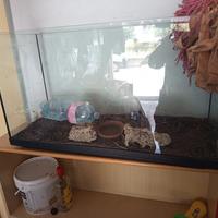 teca/acquario